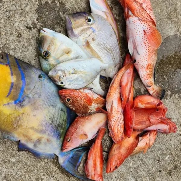 f17e58_4ab6e3bbaba44c06a499c8ae4